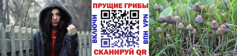 Галлюциногенные грибы мицелий  KRAKEN ССЫЛКА  Чусовой  купить наркотик 